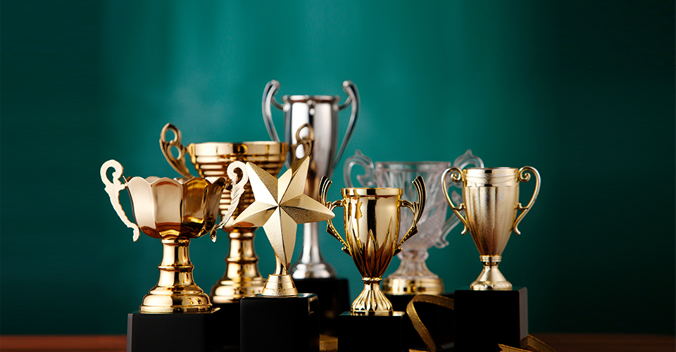 300+榮譽(yù)獎(jiǎng)項(xiàng) <br> 7大質(zhì)量獎(jiǎng)大滿貫